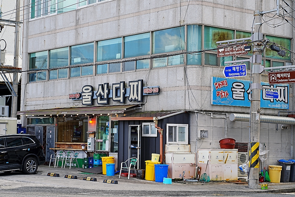 울산다찌 여행 추천 - 로드트립