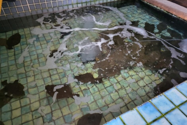 염전횟집_5_공공3유형.jpg