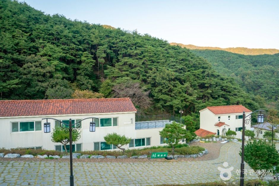 성모솔숲마을 여행 추천 - 로드트립