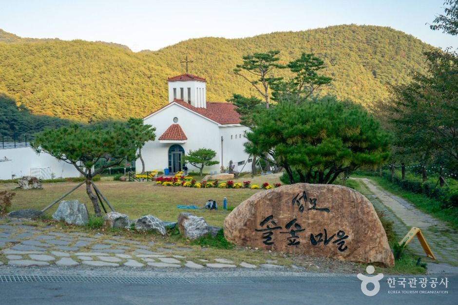 성모솔숲마을 여행 추천 - 로드트립