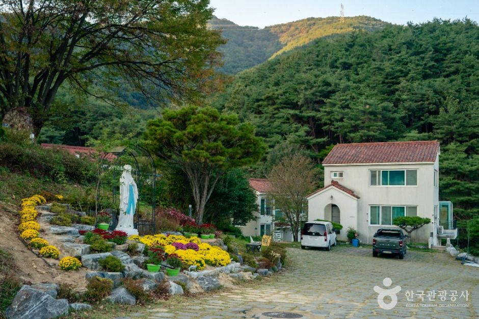 성모솔숲마을 여행 추천 - 로드트립