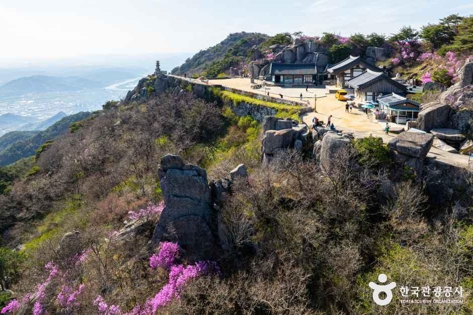 대견사 여행 추천 - 로드트립