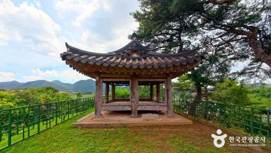 괴산 고산정 및 제월대 여행 추천 - 로드트립