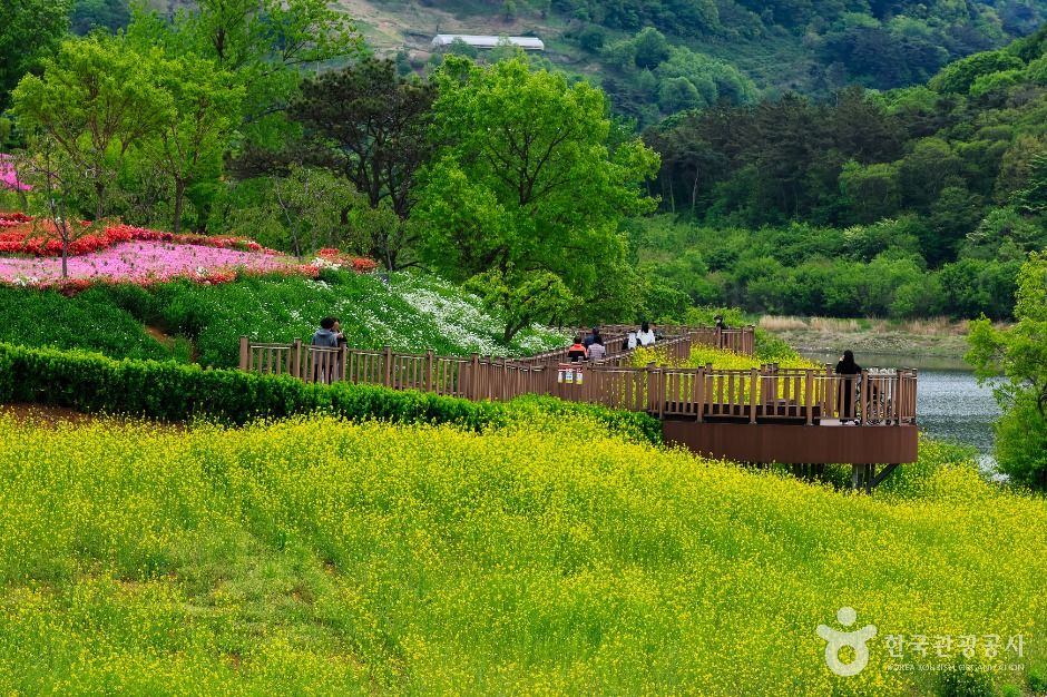 옥정호 출렁다리 및 붕어섬생태공원 여행 추천 - 로드트립