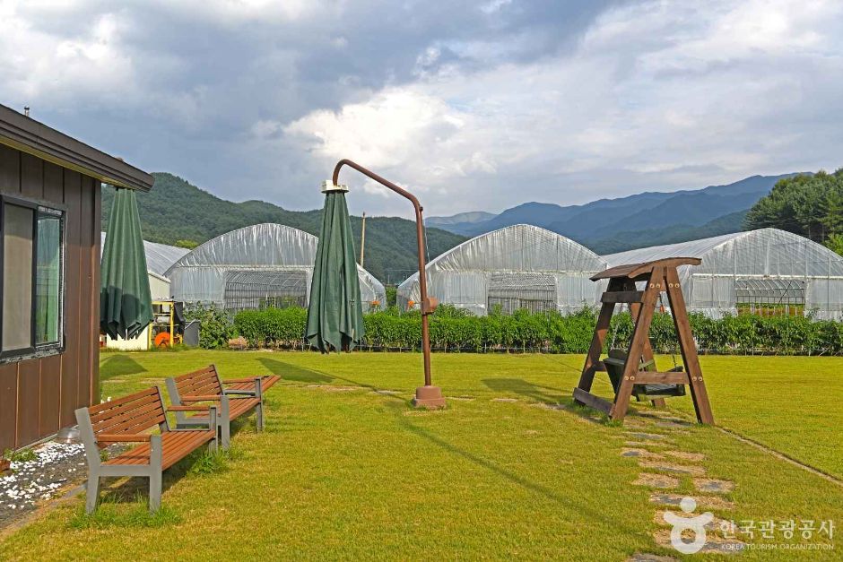삼생 정보화마을 여행 추천 - 로드트립