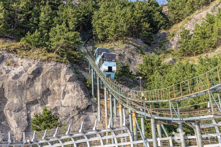 태하향목관광모노레일 여행 추천 - 로드트립