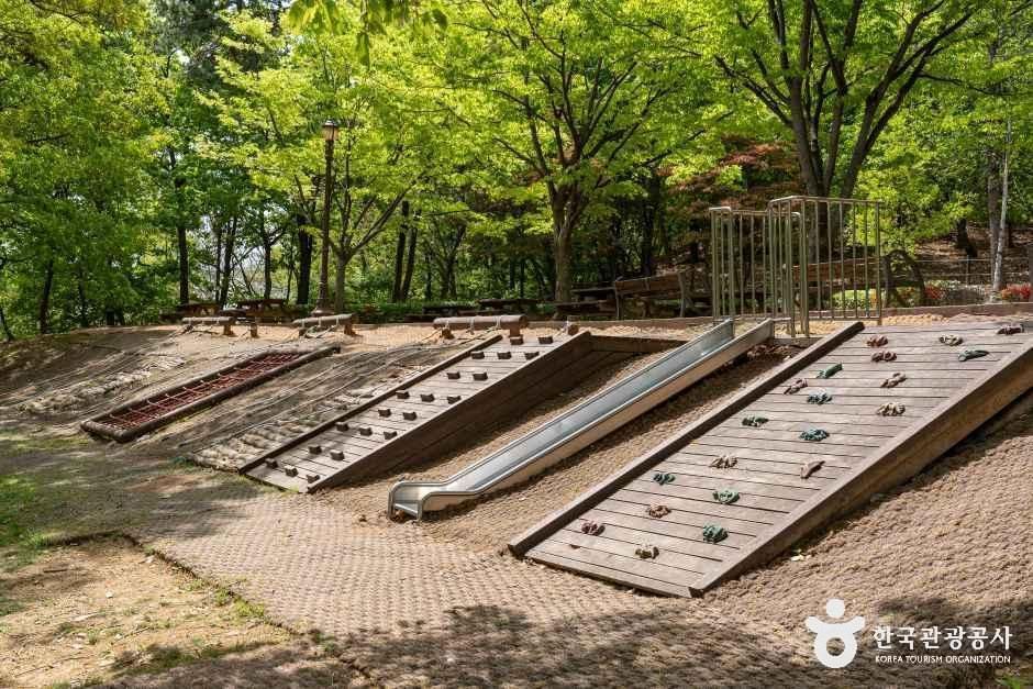 알콩달콩유아숲체험원 여행 추천 - 로드트립