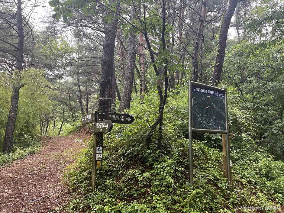 [지리산둘레길] 하동읍-서당 여행 추천 - 로드트립