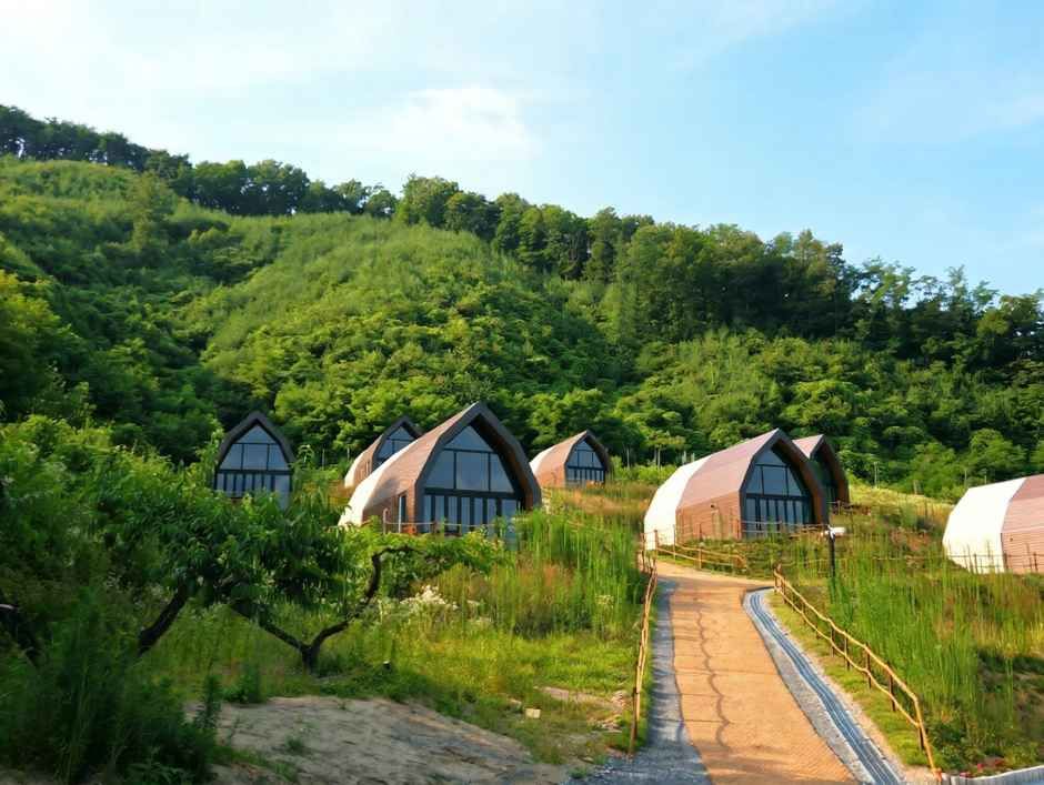오차드블리스 여행 추천 - 로드트립