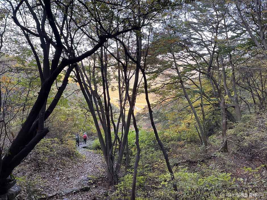 [지리산둘레길] 위태-하동호 여행 추천 - 로드트립