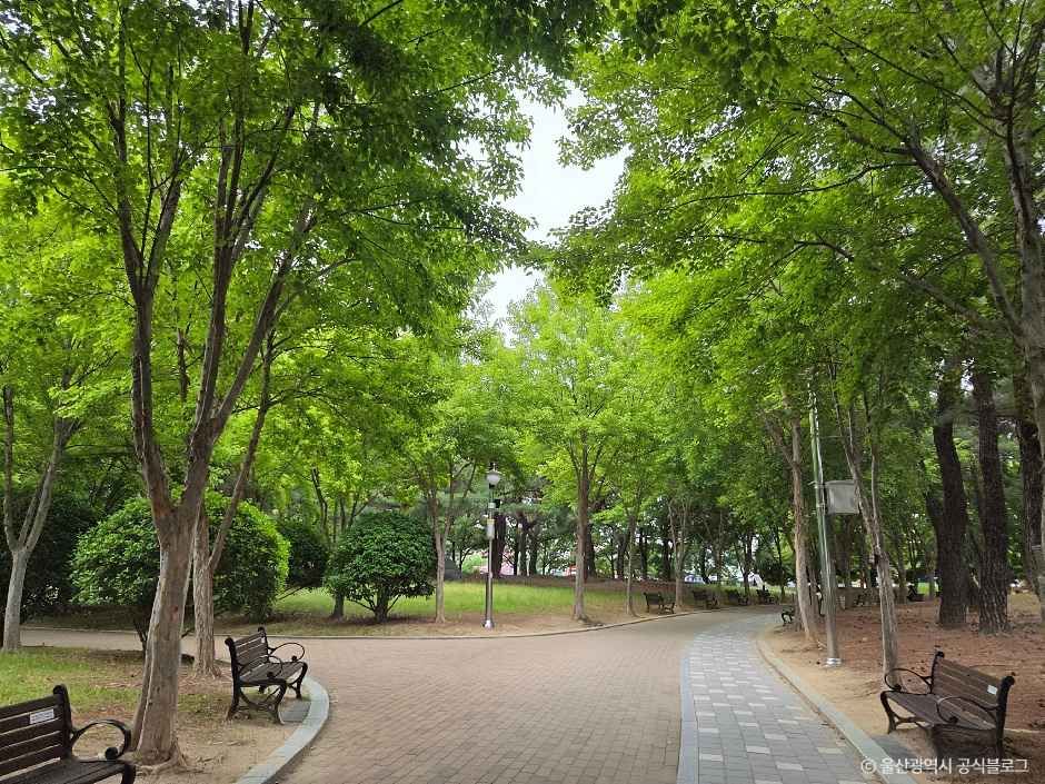 문화공원(울산) 여행 추천 - 로드트립
