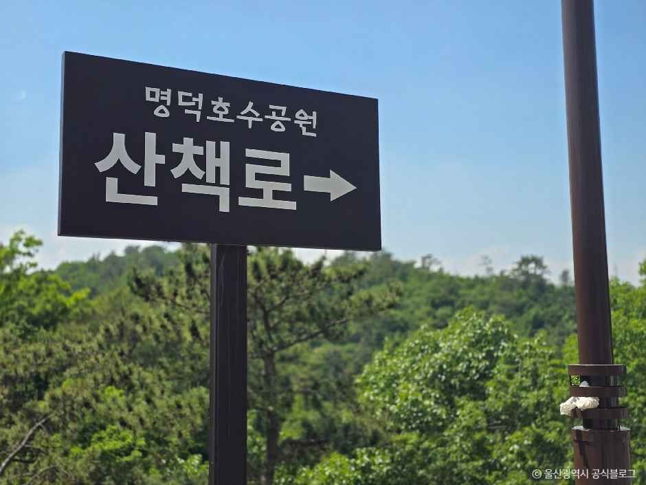 명덕호수공원 여행 추천 - 로드트립
