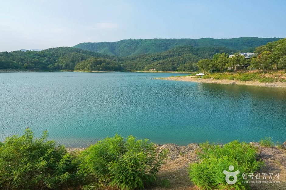 봉무공원 여행 추천 - 로드트립