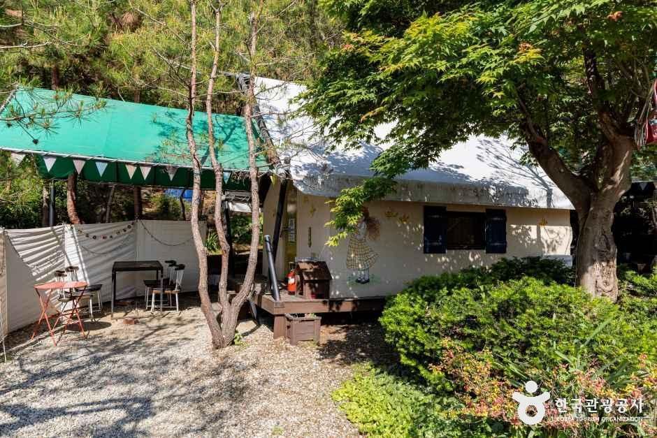 충주커피박물관 글램핑카라반펜션 여행 추천 - 로드트립