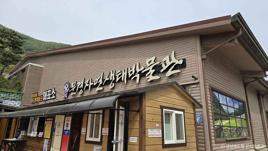 문경자연생태박물관 여행 추천 - 로드트립