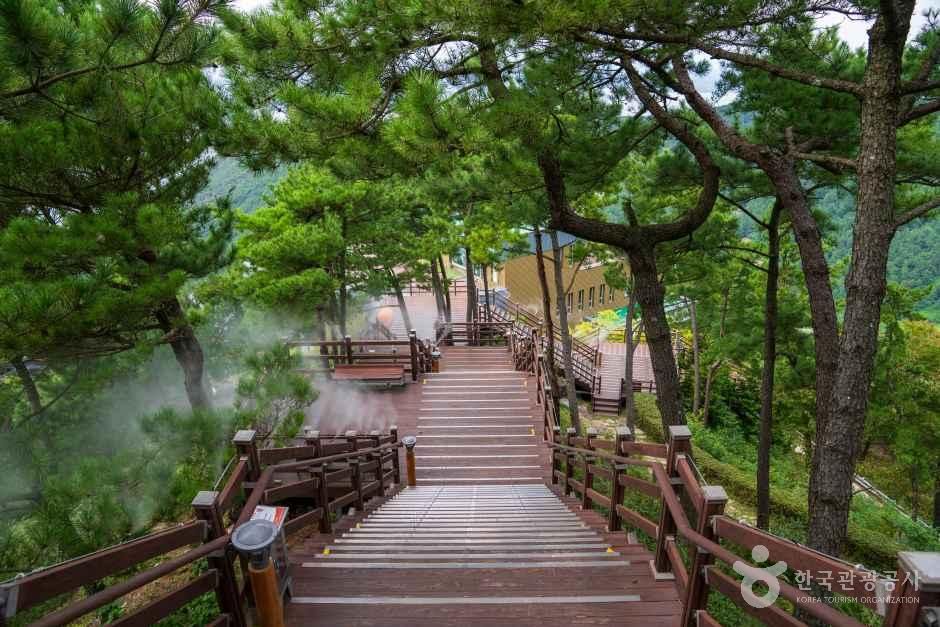 각산 여행 추천 - 로드트립