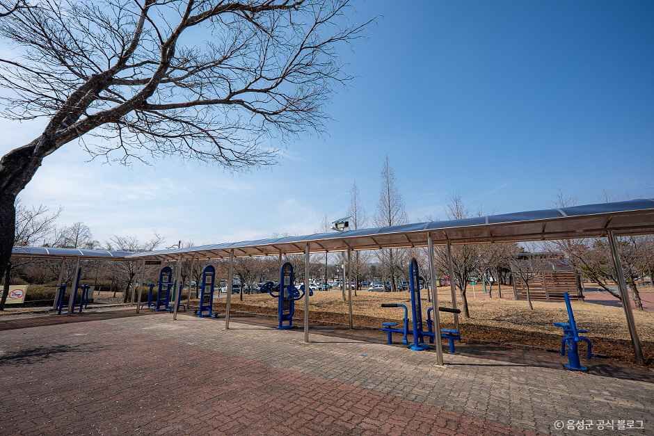 금왕생활체육공원 여행 추천 - 로드트립