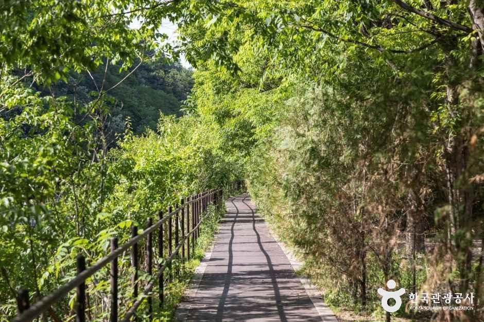월악산국립공원 송계야영장 여행 추천 - 로드트립