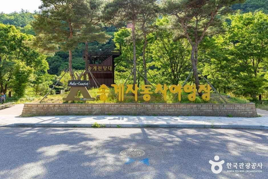 월악산국립공원 송계야영장 여행 추천 - 로드트립