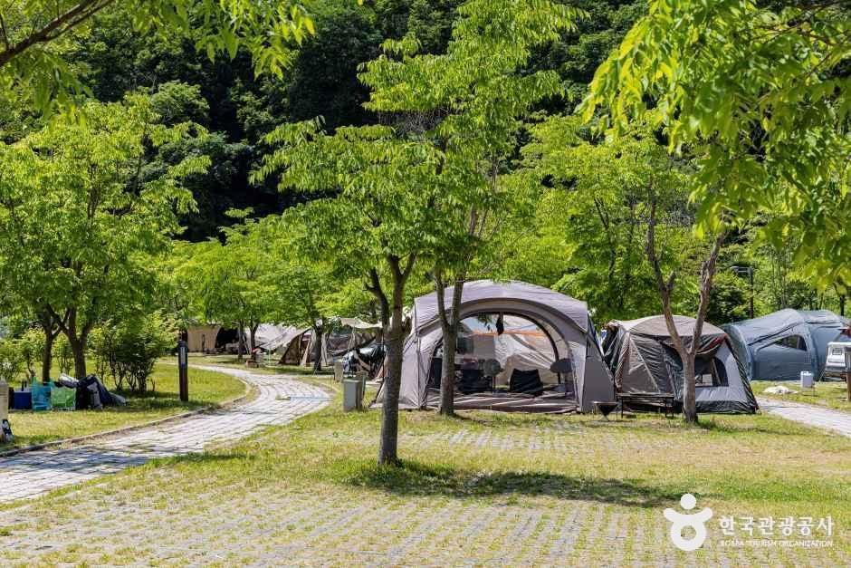 원남테마공원캠핑장 여행 추천 - 로드트립