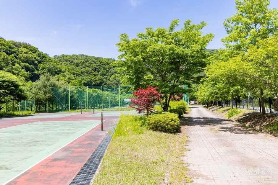 원남테마공원캠핑장 여행 추천 - 로드트립