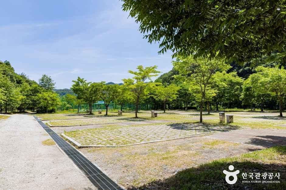 원남테마공원캠핑장 여행 추천 - 로드트립
