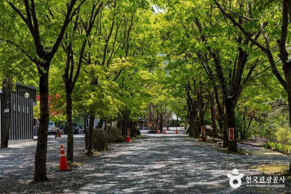 쌍곡예당 여행 추천 - 로드트립