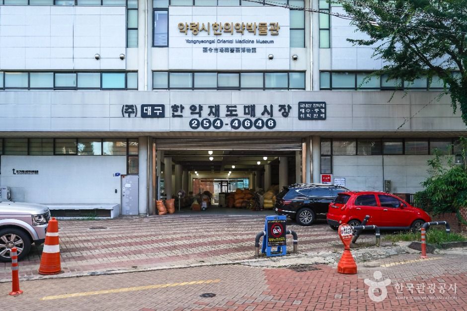 대구 약령시 한의약박물관 여행 추천 - 로드트립