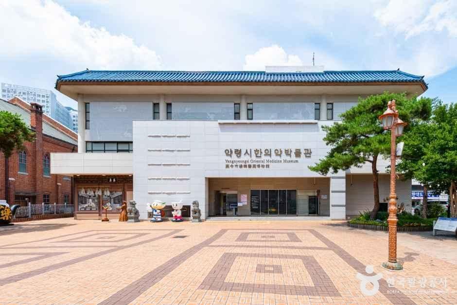 대구 약령시 한의약박물관 여행 추천 - 로드트립