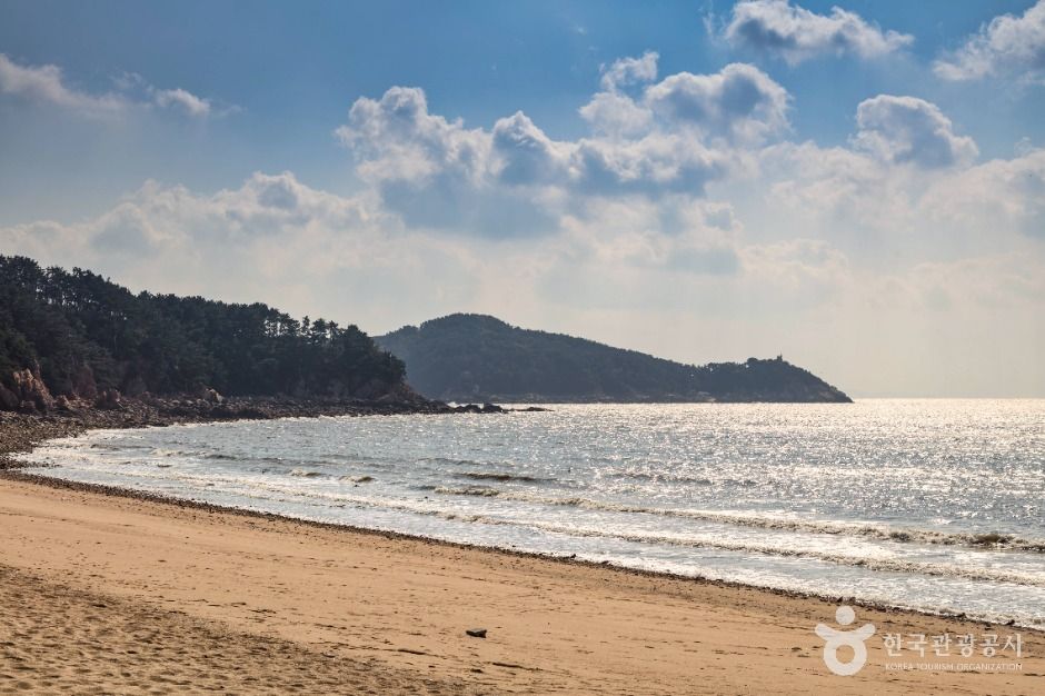 왕산해수욕장 여행 추천 - 로드트립