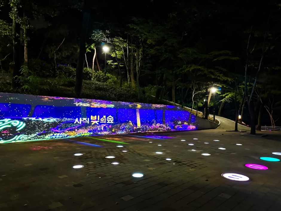 사직 빛의 숲 여행 추천 - 로드트립
