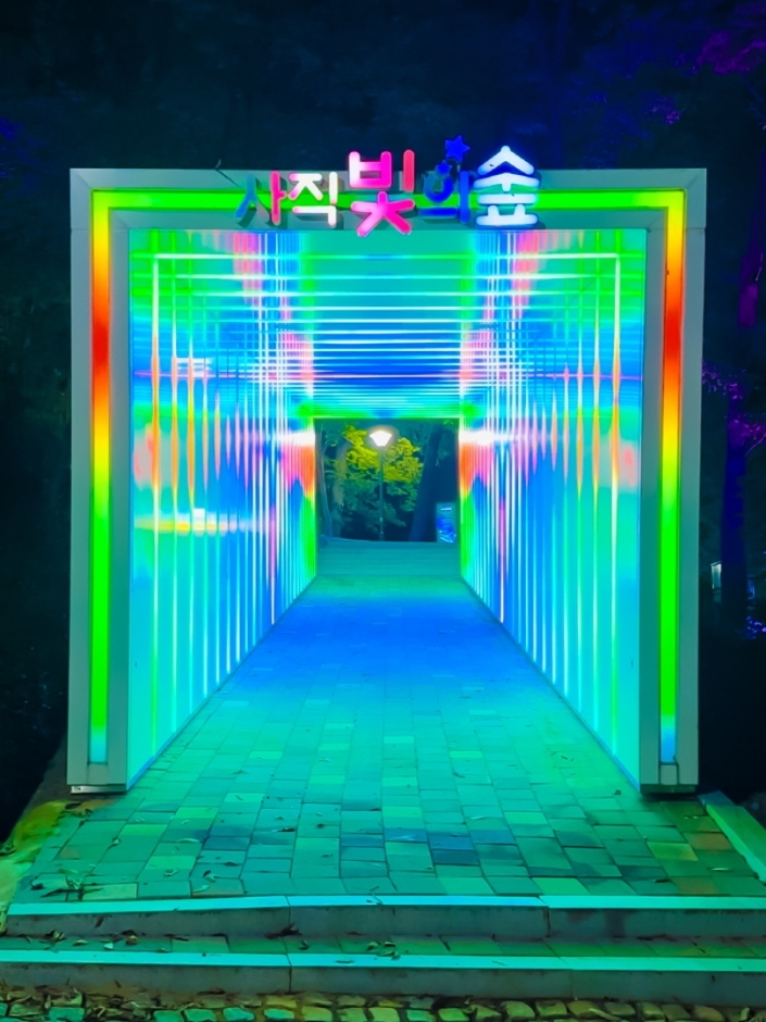 사직 빛의 숲 여행 추천 - 로드트립