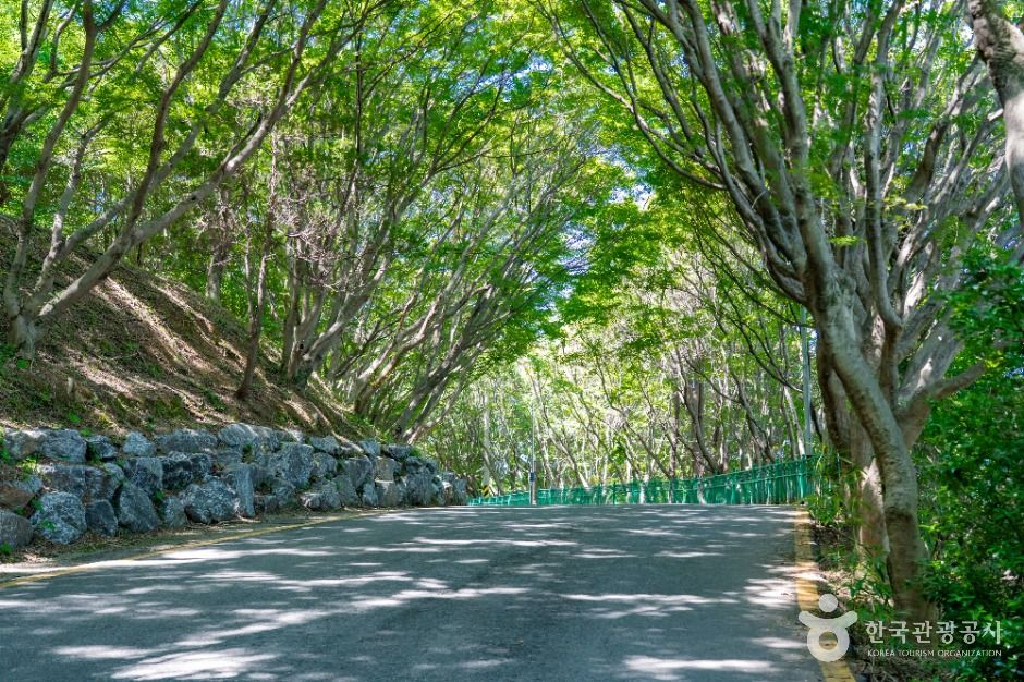 자산공원 여행 추천 - 로드트립