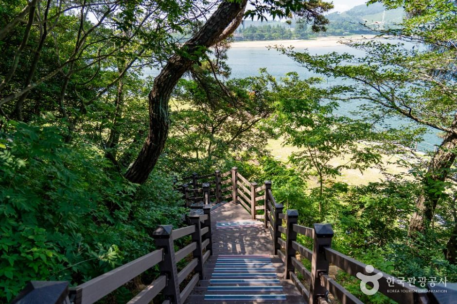 배알도 섬 정원 여행 추천 - 로드트립