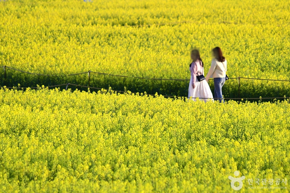 영산강둔치체육공원 여행 추천 - 로드트립