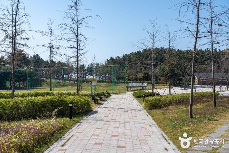 대부도공원 여행 추천 - 로드트립