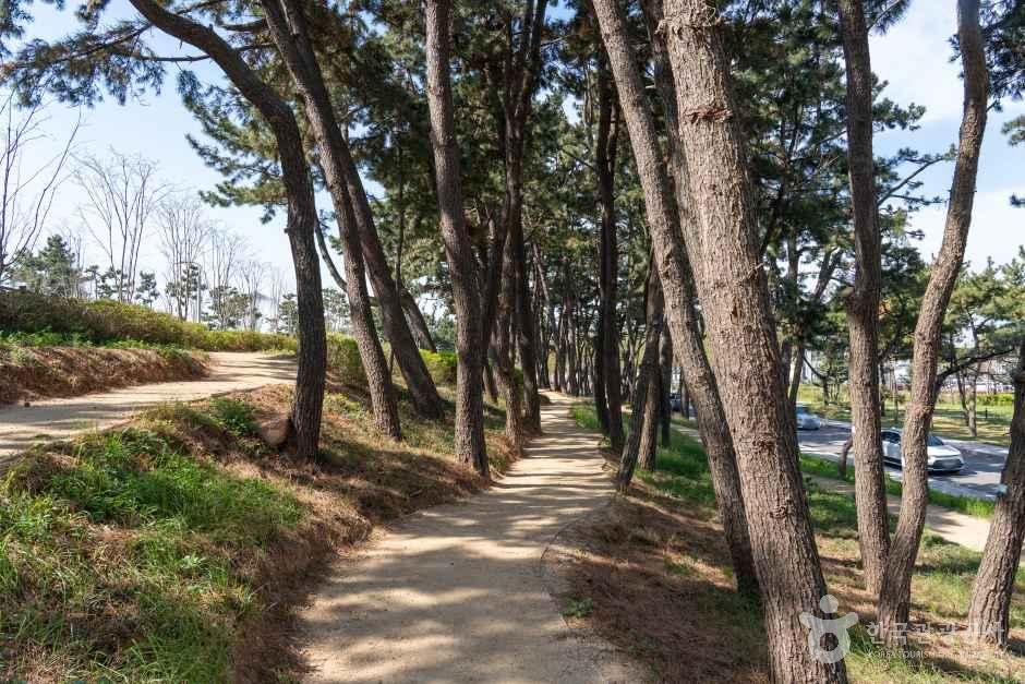 대부도공원 여행 추천 - 로드트립
