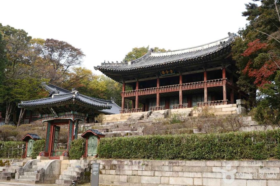 창덕궁과 후원 [유네스코 세계유산] 여행 추천 - 로드트립