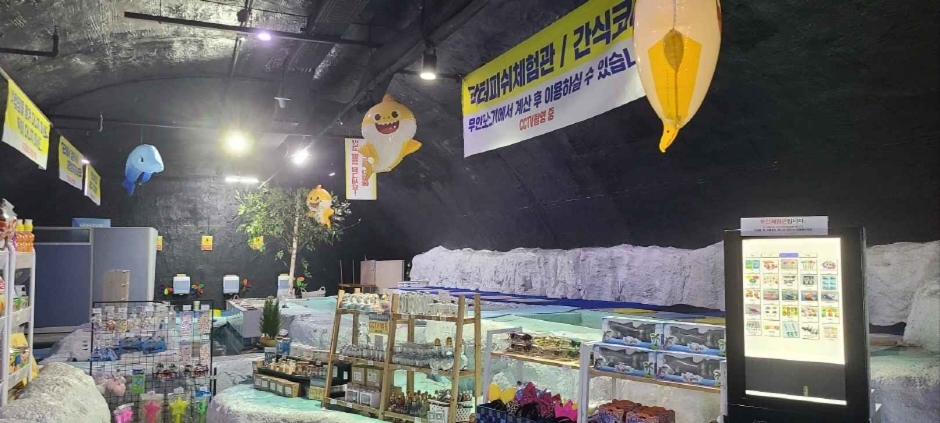 대전아쿠아리움 여행 추천 - 로드트립