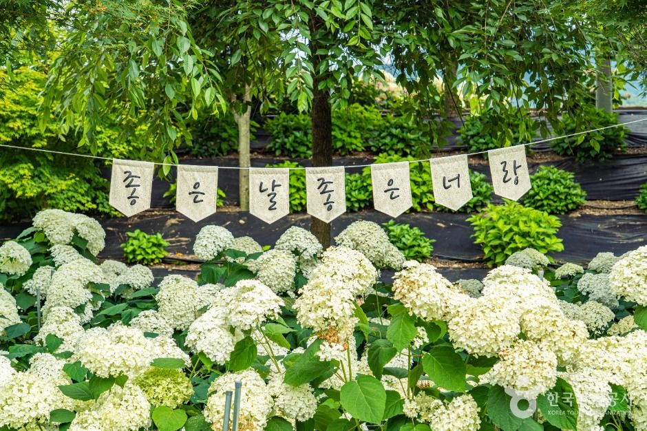 유구색동수국정원 여행 추천 - 로드트립
