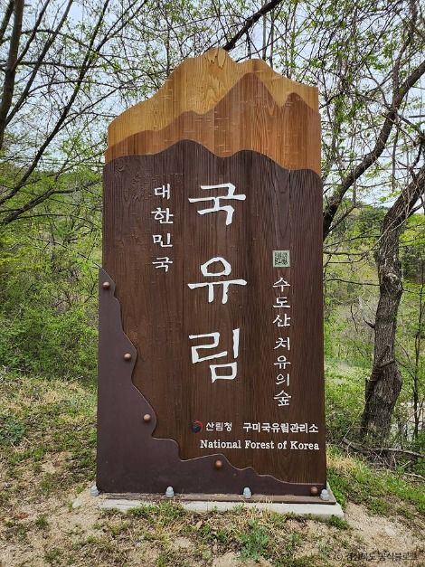 국립김천치유의숲 여행 추천 - 로드트립