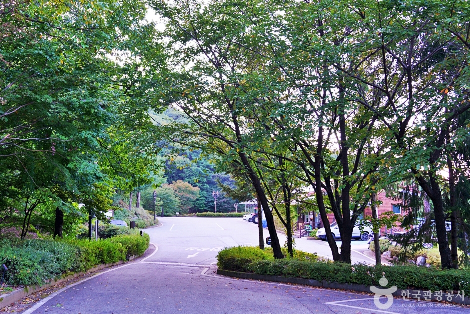 수레의산자연휴양림 여행 추천 - 로드트립