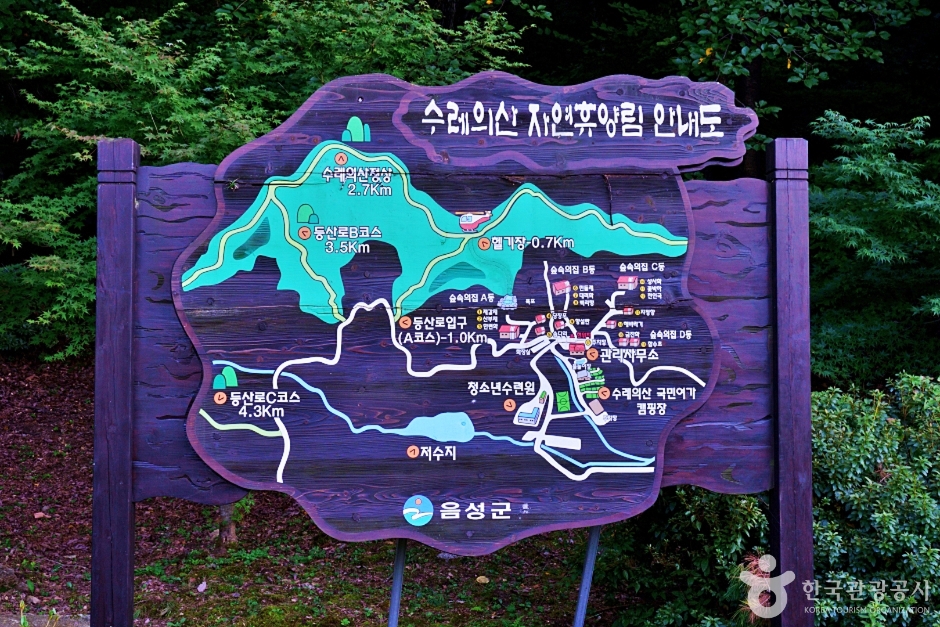 수레의산자연휴양림 여행 추천 - 로드트립