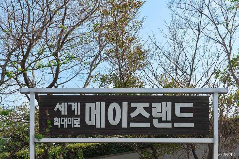메이즈랜드 여행 추천 - 로드트립