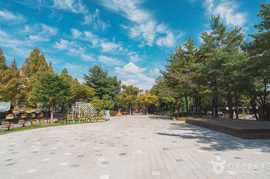 보라매공원(대전) 여행 추천 - 로드트립