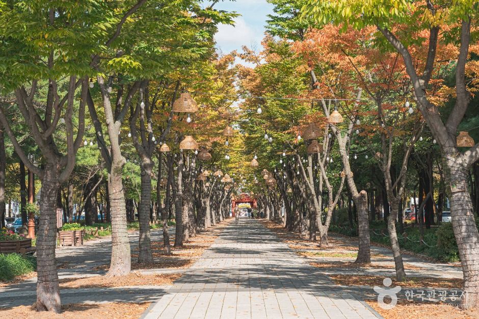 보라매공원(대전) 여행 추천 - 로드트립