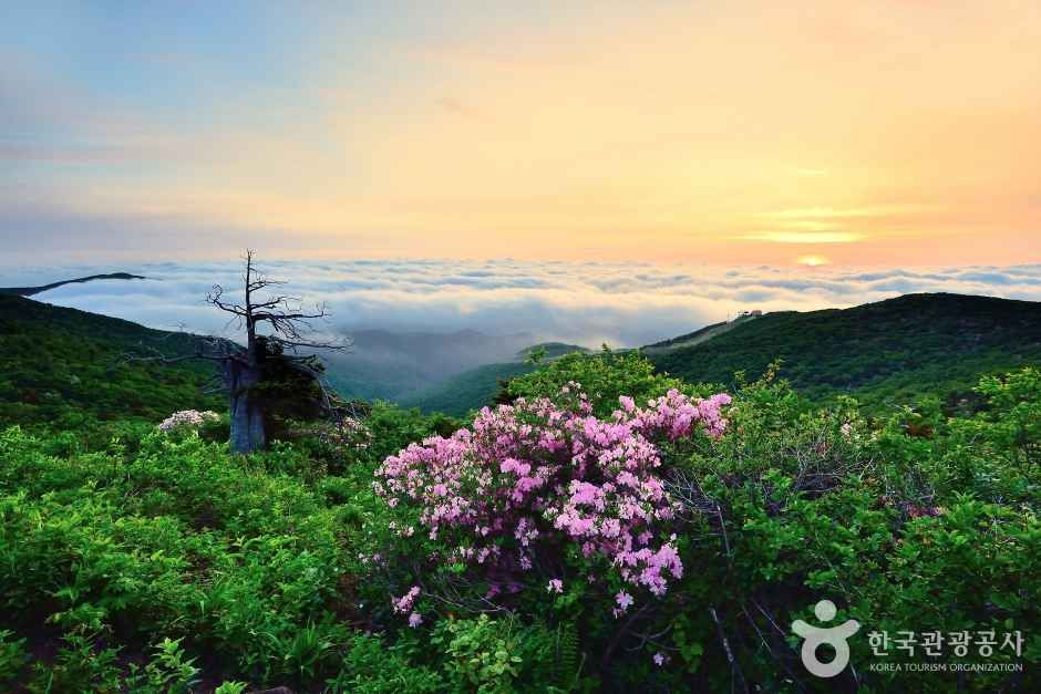 함백산 여행 추천 - 로드트립