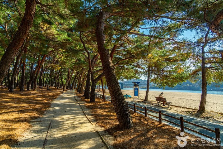 하동송림공원 여행 추천 - 로드트립