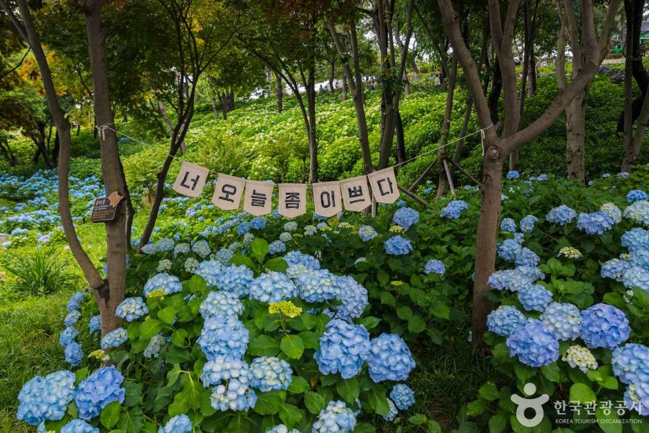장생포 고래문화마을 여행 추천 - 로드트립