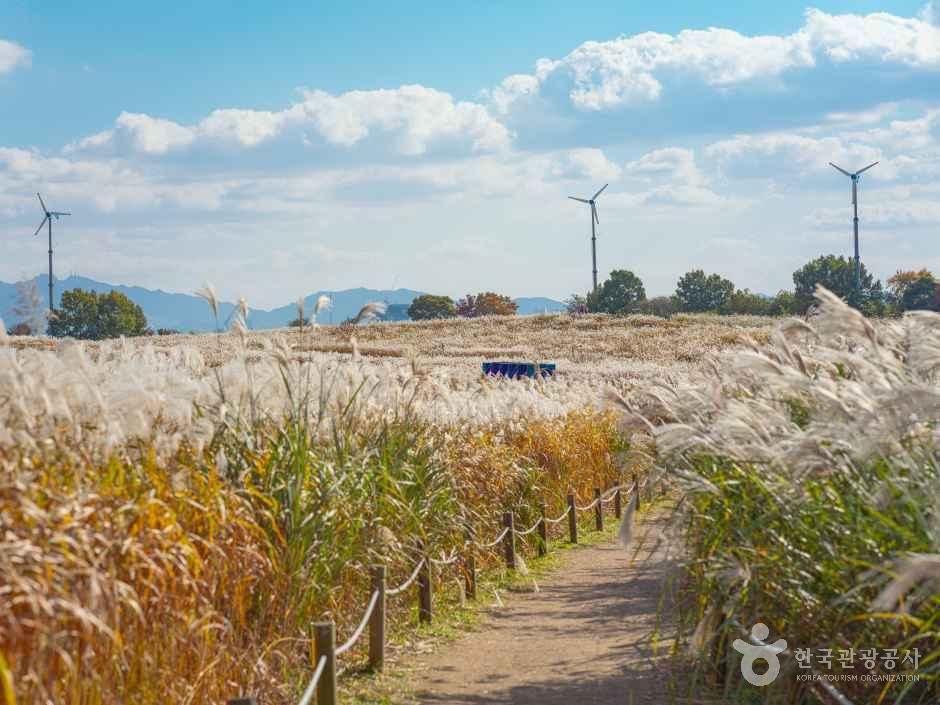 하늘공원 여행 추천 - 로드트립